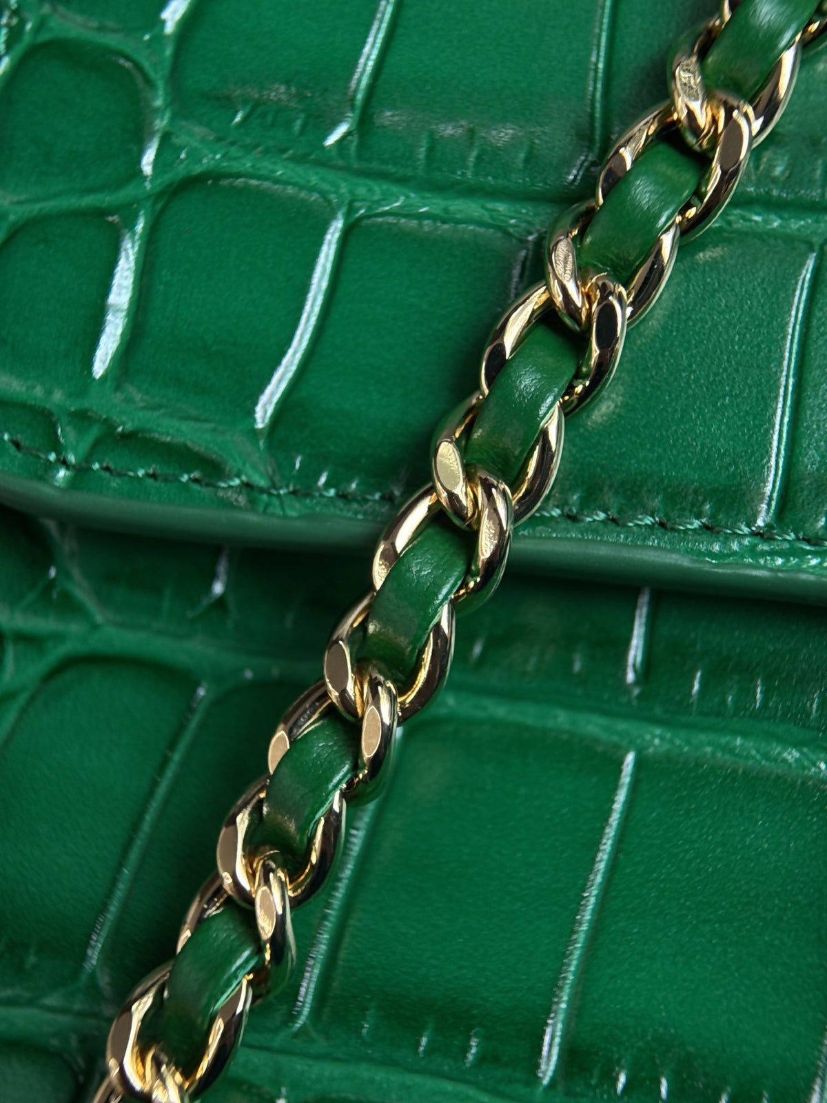 Chanel Mini Flap Bag With Top Handle Crocodile-Embossed Calfskin Green AS6424 – Pre-Owned Authentic