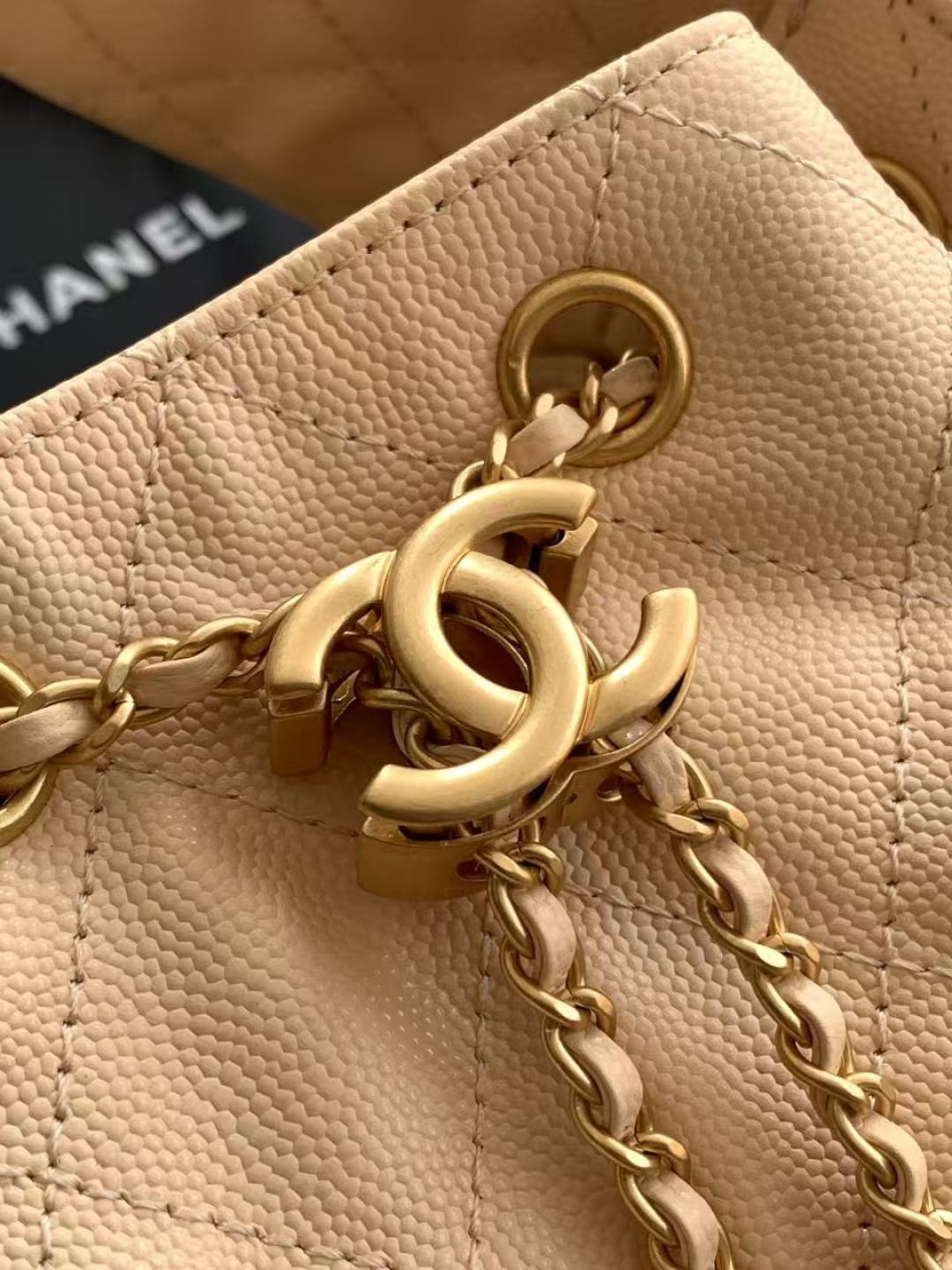 Chanel 25 Small Hobo in Ivory White close-up view