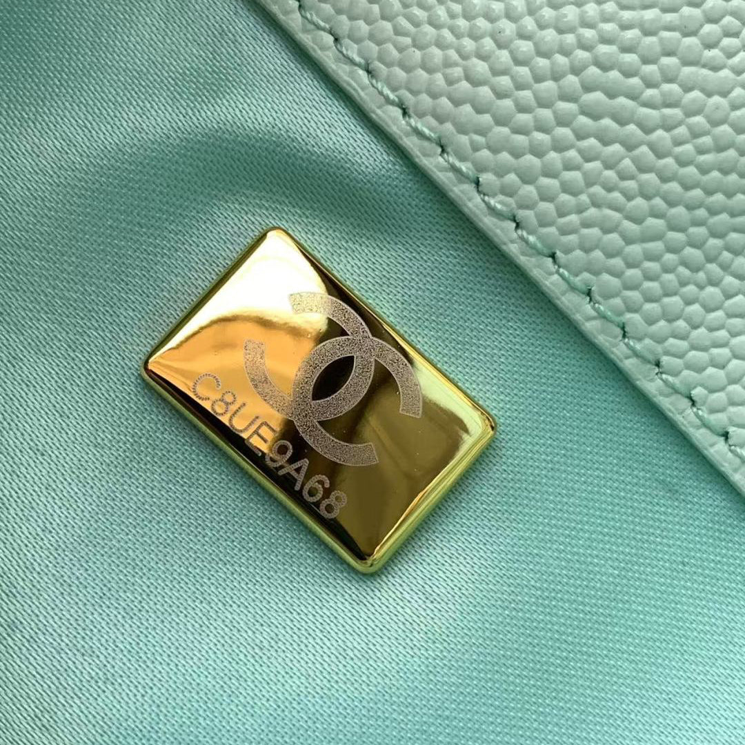 Chanel 25 Small Hobo Light Green authenticity plate