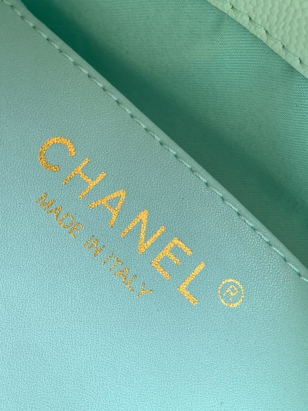 Chanel 25 Small Hobo Light Green  close-up view 