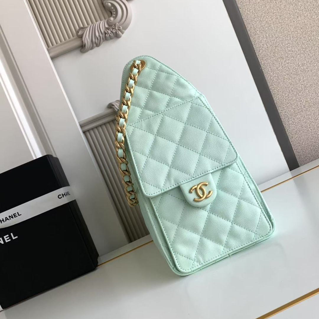 Chanel 25 Small Hobo Light Green side view