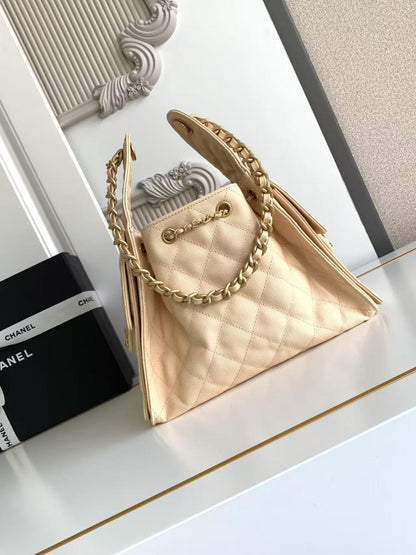 Chanel 25 Small Hobo in Ivory White Back view