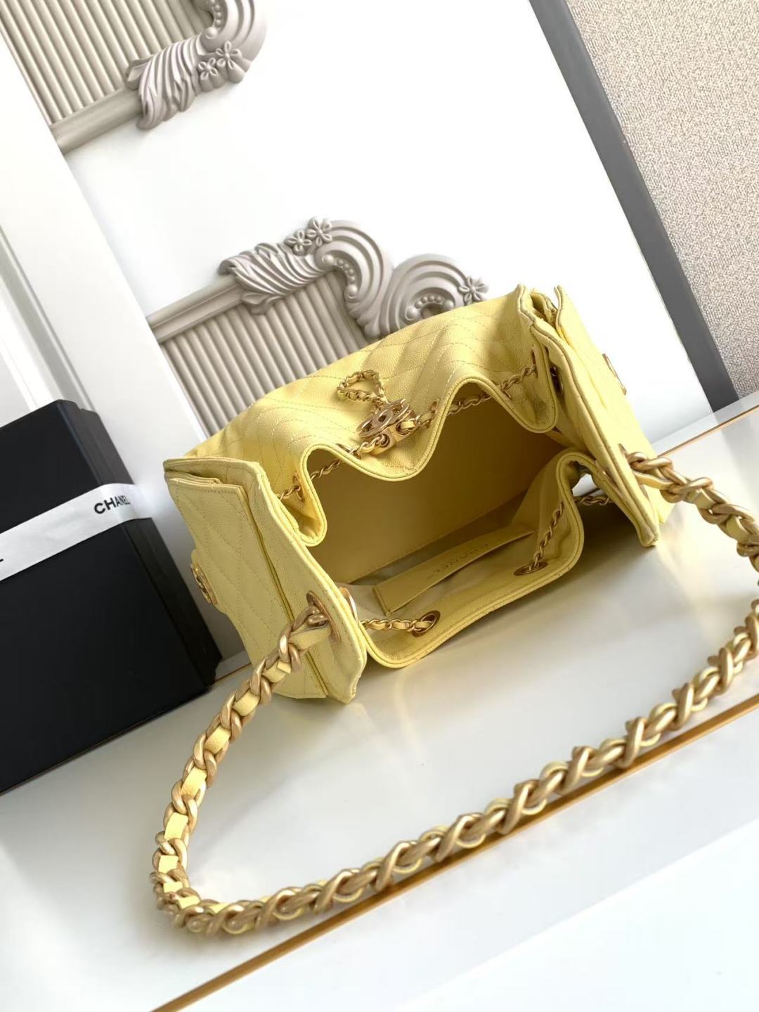 Chanel 25 Small Hobo interior view