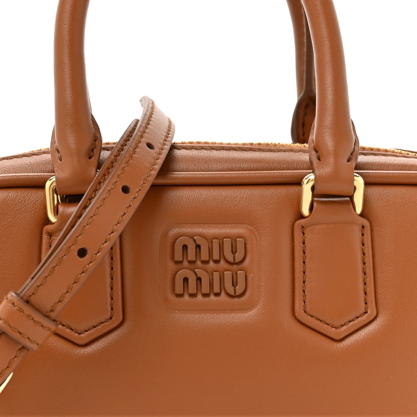 Miu Miu Arcadie  Leather Bag close-up view