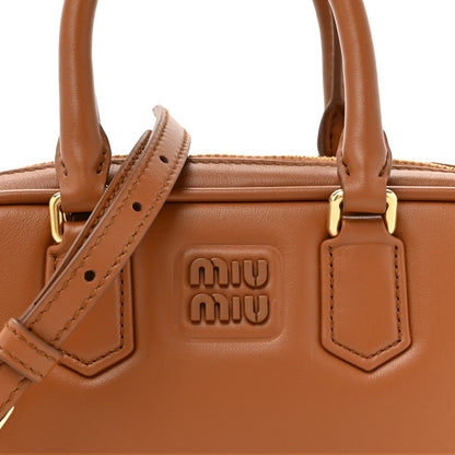 Miu Miu Arcadie  Leather Bag close-up view