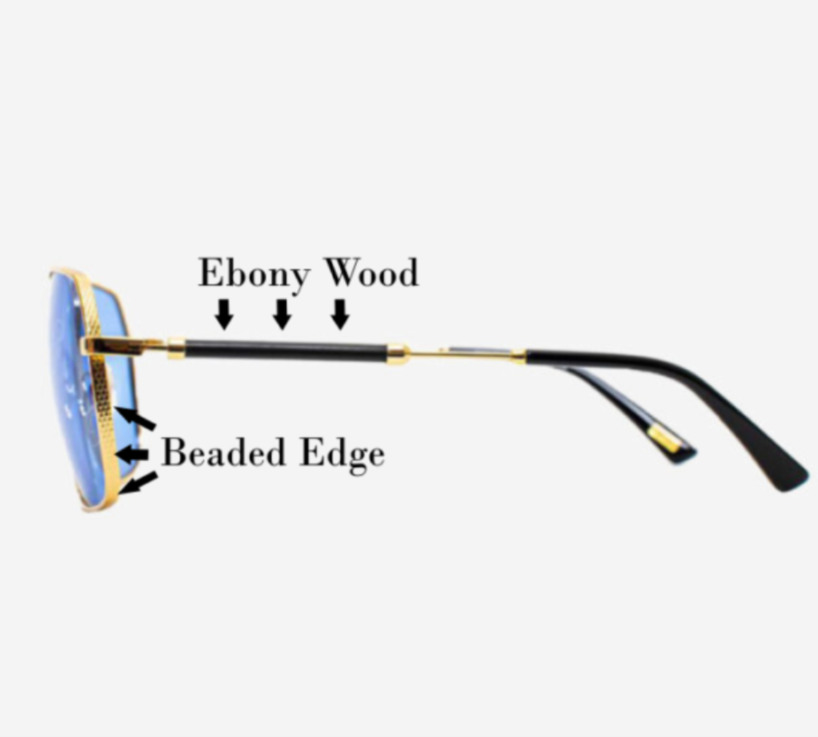 BRAVO LOGO COLLECTION Sunglasses Style BV2002-C2